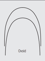 Cu-Alloy NiTi Archwires